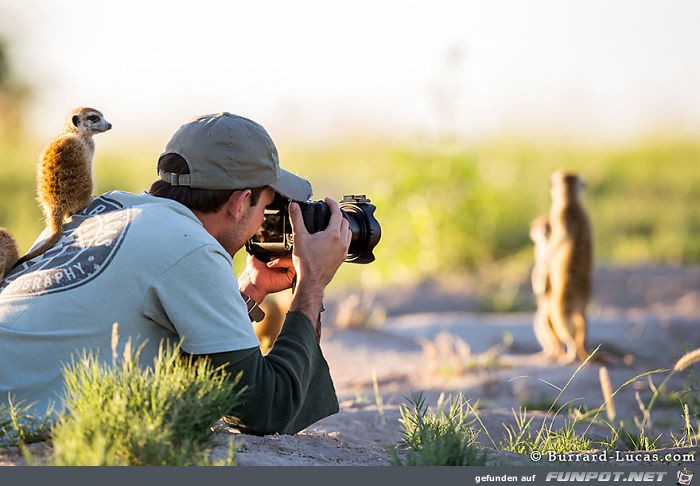 Naturfotografen