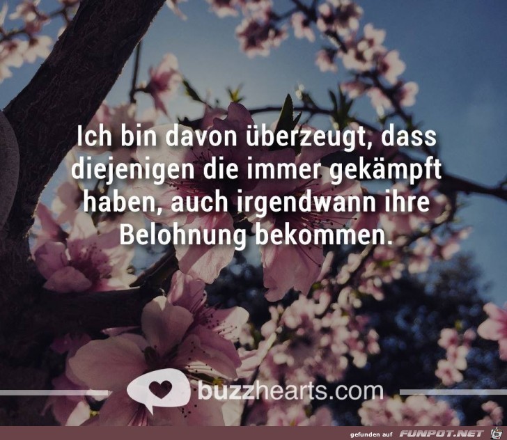 berzeugt berzeugt