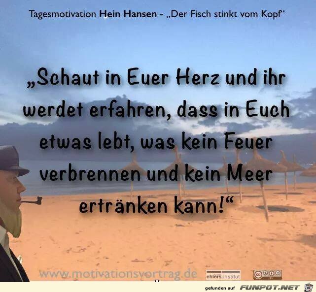Schaut in euer Herz Schaut in euer Herz