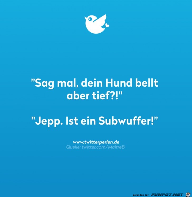 Hund Hund