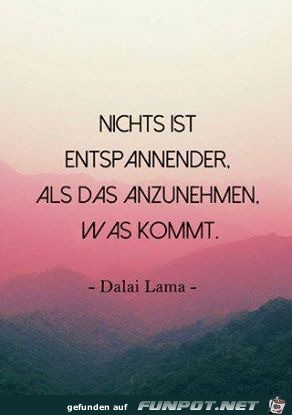 was kommt was kommt