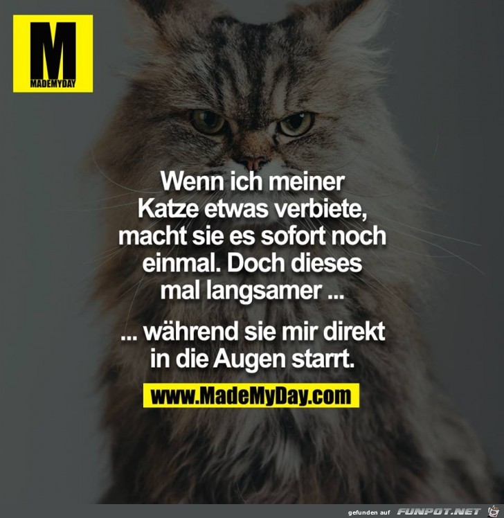 Verbiete Verbiete