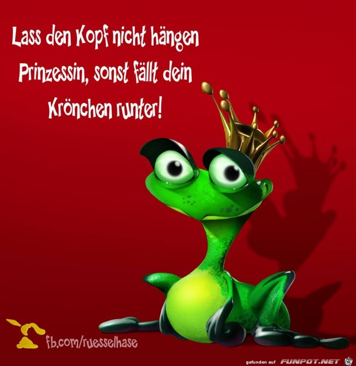 lo lo