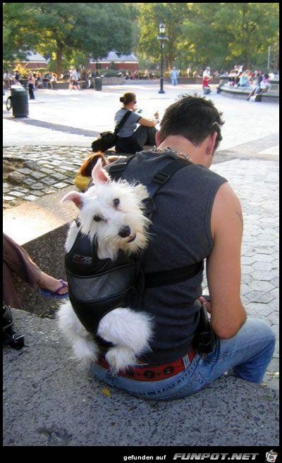 Petbag Petbag