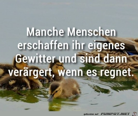 10 schne Sprche und Lebensweisheiten aus...