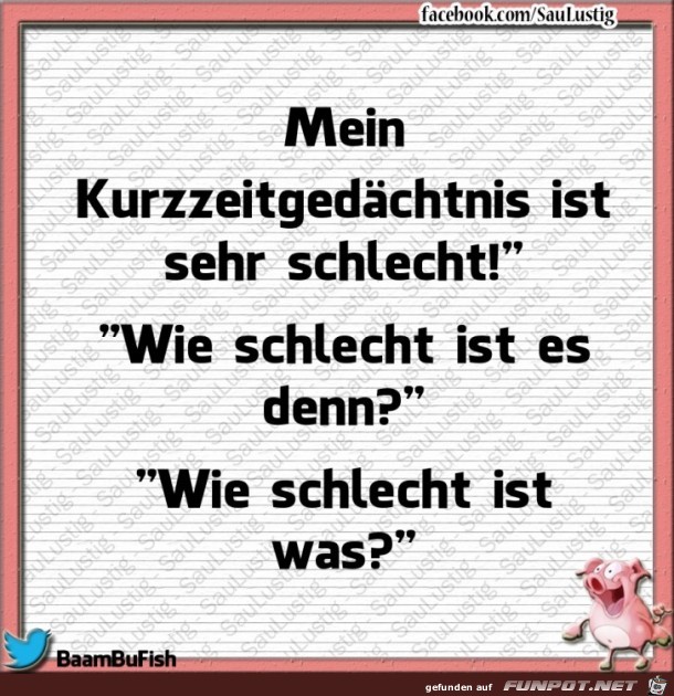 Mein Kurzzeitgedächtnis ist schlecht Mein Kurzzeitgedächtnis ist schlecht