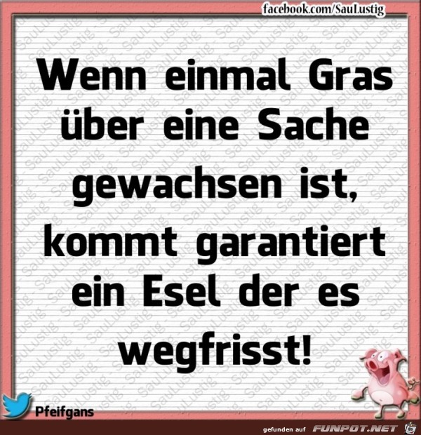 Wenn einmal Gras über eine Sache Wenn einmal Gras über eine Sache