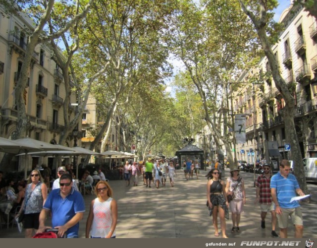 08-080 La Rambla 08-080 La Rambla