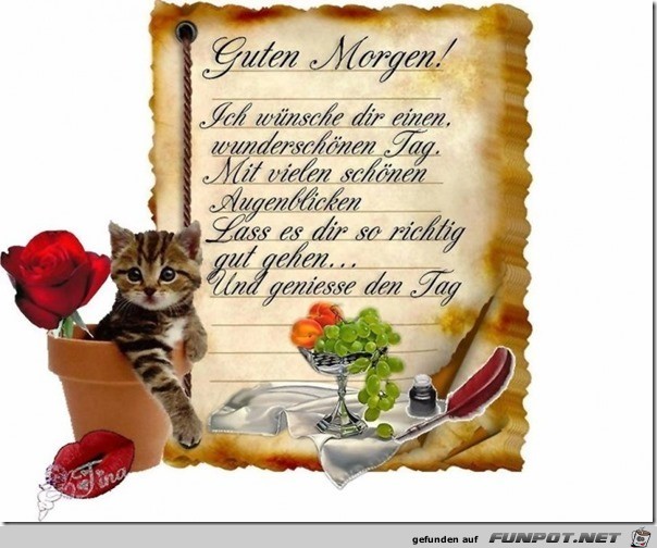 Guten Morgen 1