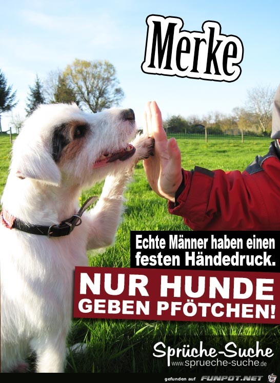 haendedruck haendedruck