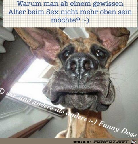 Gewisses Alter Gewisses Alter
