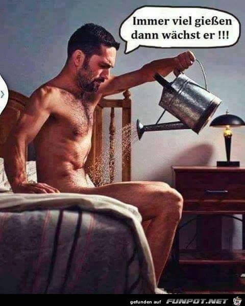 Immer viel giessen Immer viel giessen