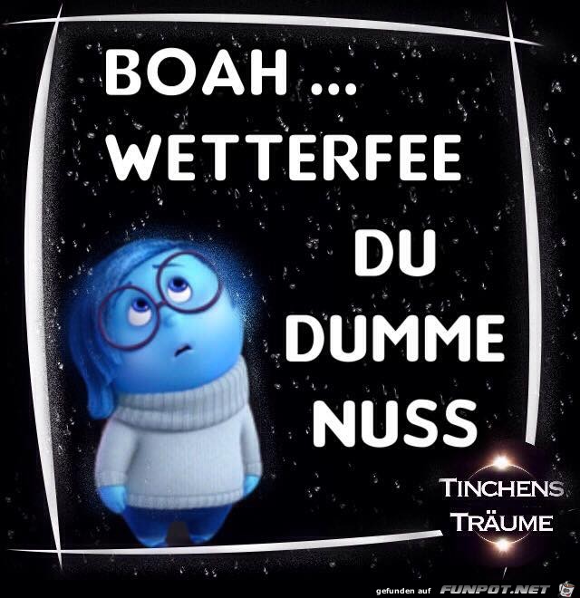 Wetterfee Wetterfee