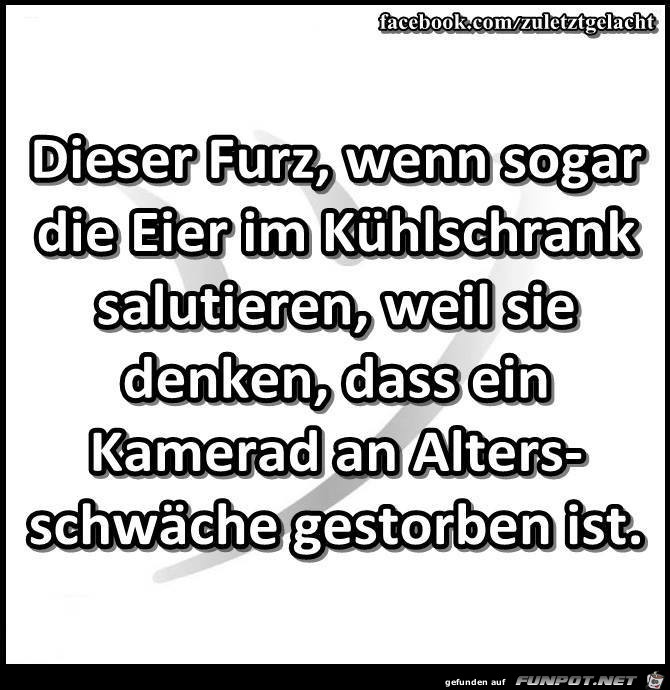 Dieser Furz