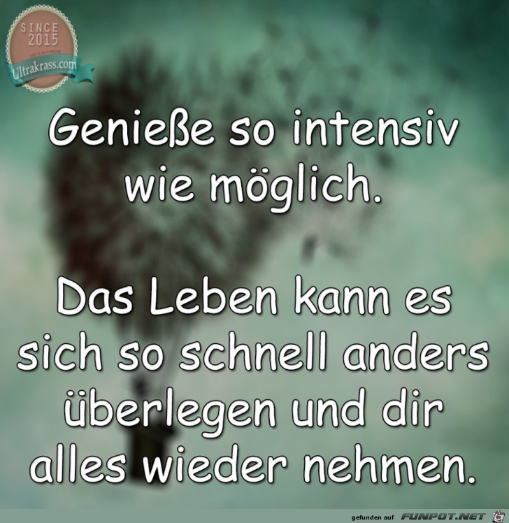 Geniesse Geniesse