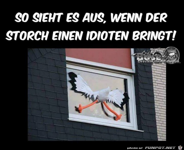 Der Storch kommt Der Storch kommt