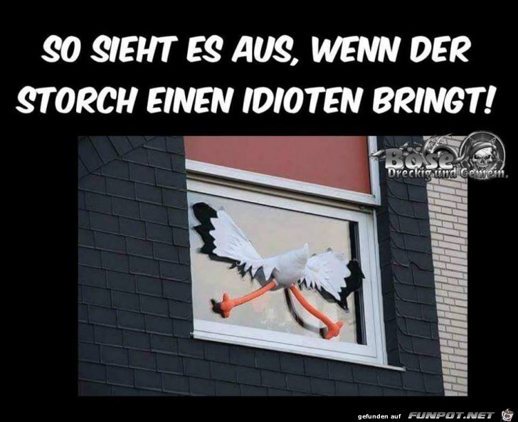 Der Storch kommt