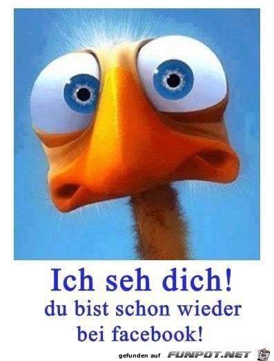 ich seh dich ich seh dich