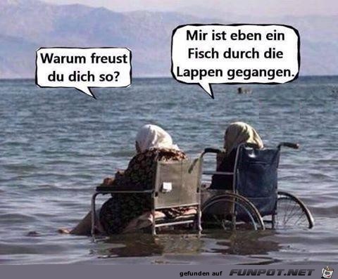 warum freust du dich so warum freust du dich so