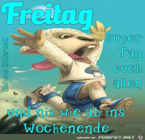Freitag Freitag