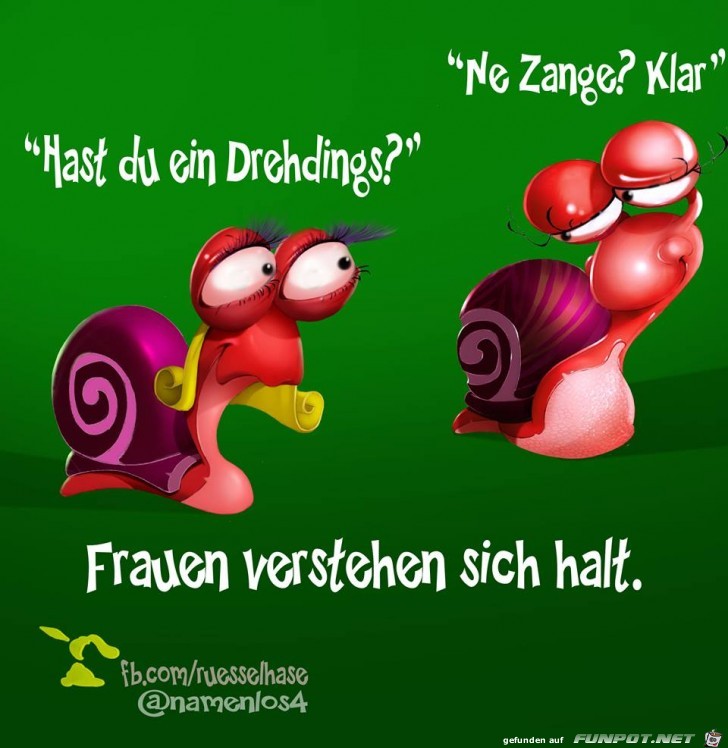 trgzb trgzb