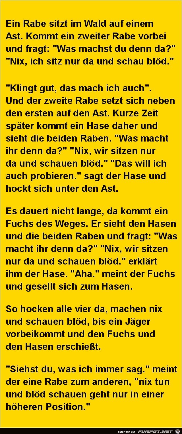 nix tun und bloed schau n nix tun und bloed schau n