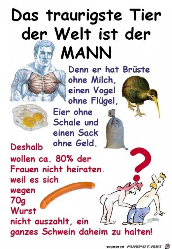 Mann Mann