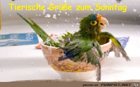 Tierische Gruesse Tierische Gruesse