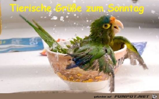 Tierische Gruesse