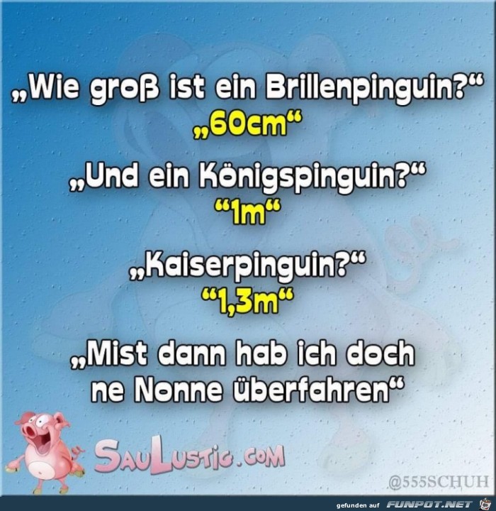 Wie gross Wie gross