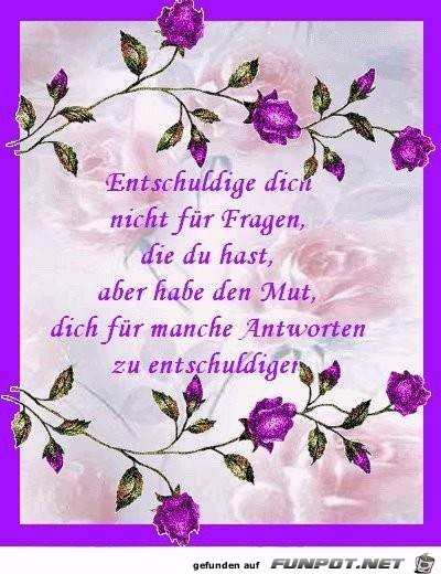 entschuldige Dich nicht 11111111 entschuldige Dich nicht 11111111