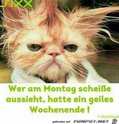 Montag