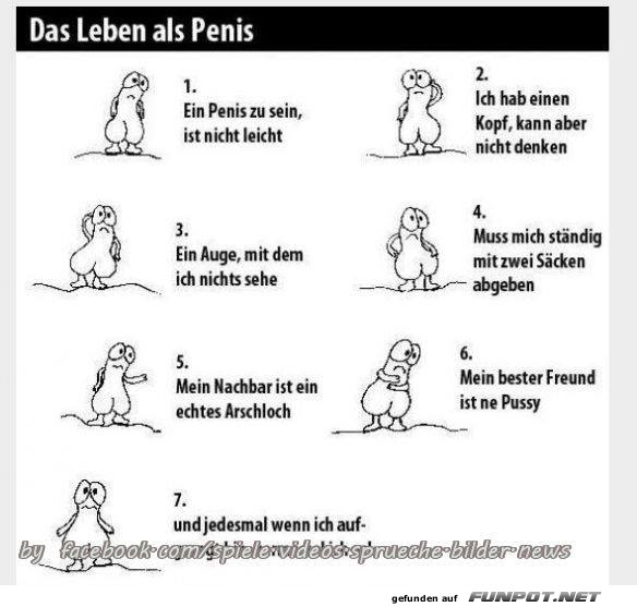 Das Leben als 