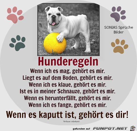 Hunderegel Hunderegel