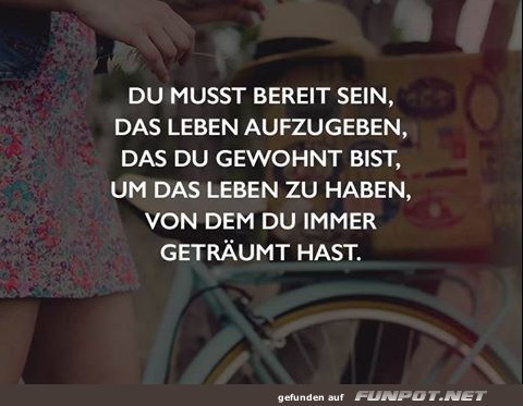 10 sch�ne Spr�che und Lebensweisheiten aus...