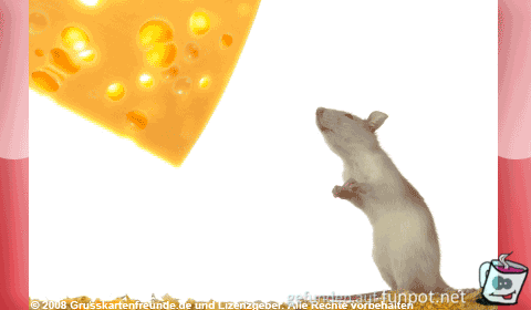 gif 029x gif 029x