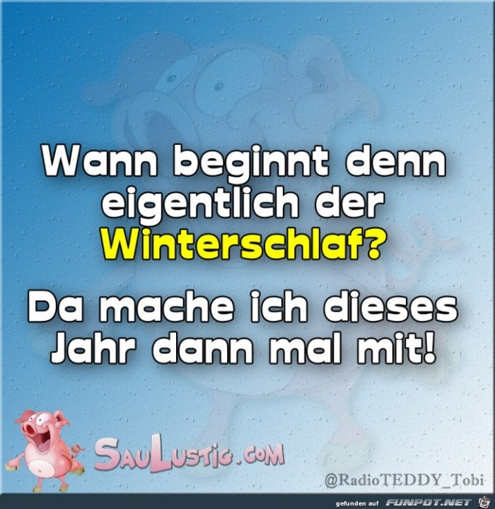 Wann-beginnt-der-Winterschlaf