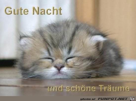 gute Nacht