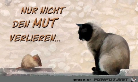 Nicht den Mut verlieren Nicht den Mut verlieren