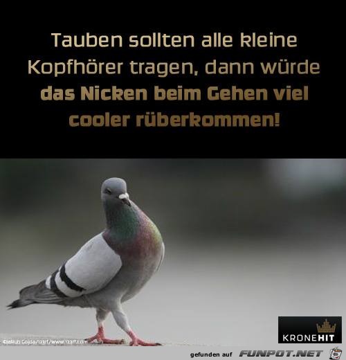 Kopfhoerer Kopfhoerer