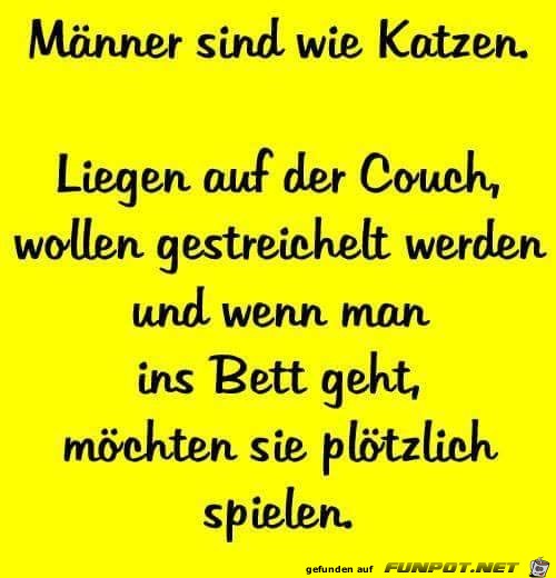 Wie Katzen Wie Katzen