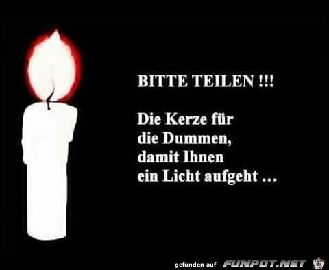 Ein Licht Ein Licht