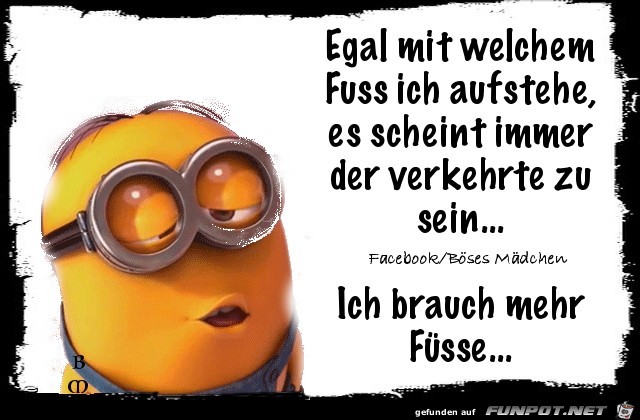 Fuss Fuss