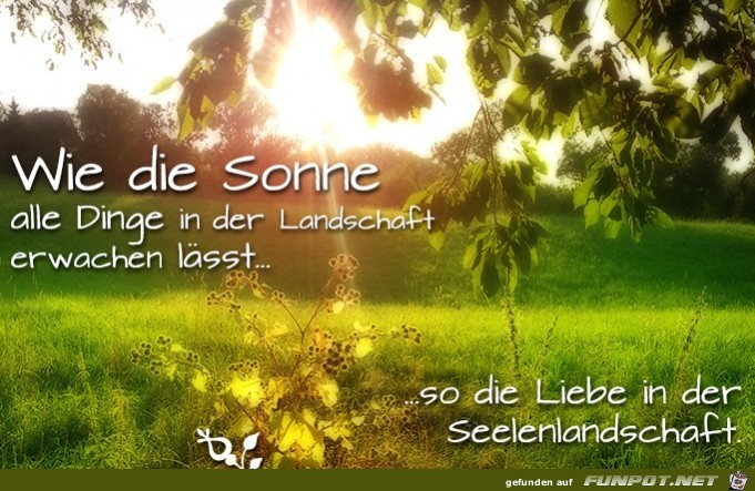 wie-die-sonne-alle-dinge-in-der-lan