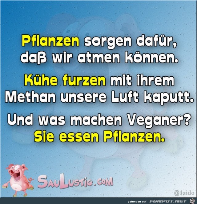 Was machen Veganer? Was machen Veganer?