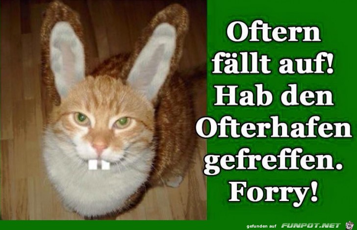 Ostern Ostern