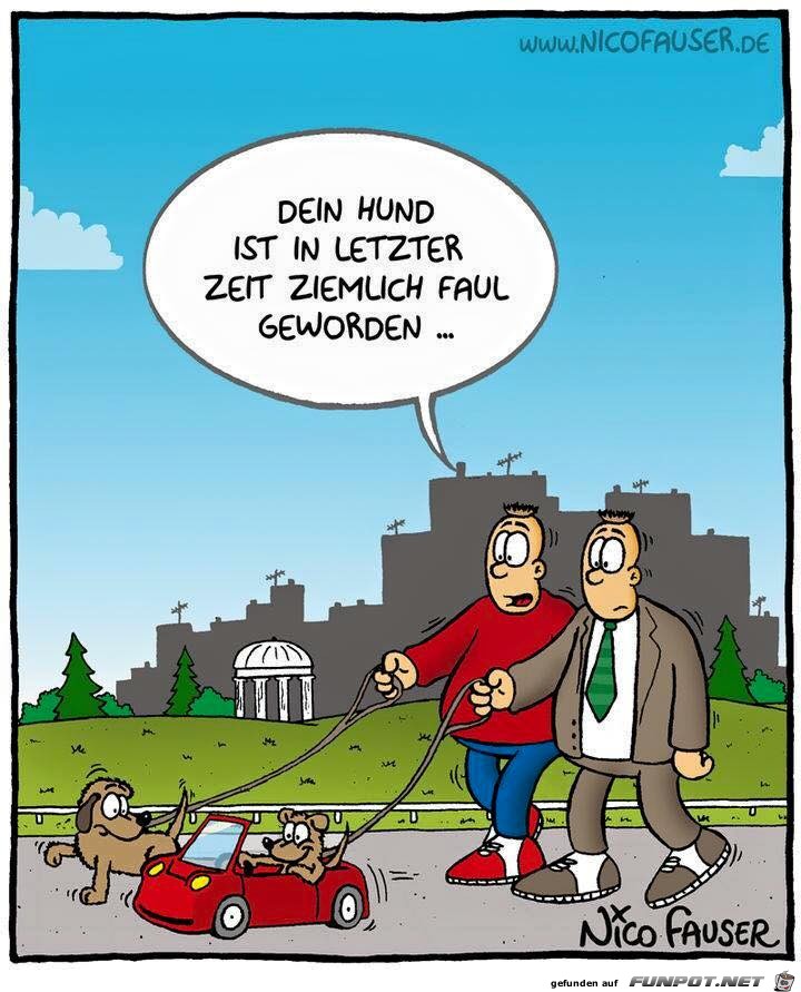 Fauler Hund Fauler Hund