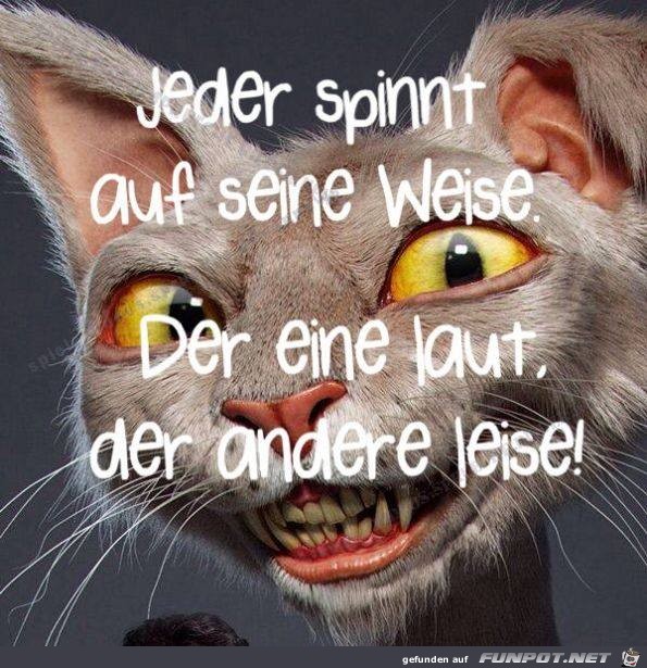 Jeder spinnt Jeder spinnt