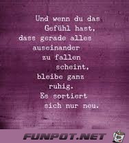 imagesCL9FNU63 imagesCL9FNU63