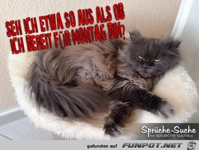 bereit-für-montag bereit-für-montag